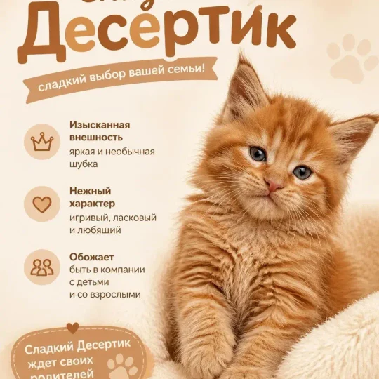 79ca21c0-7080-4cc9-9ea0-78cb6ecfdeb6-_mh6e9msv2.webp